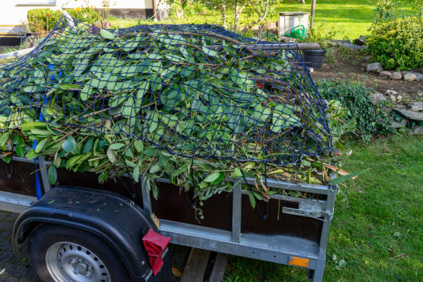 Best Estate Cleanout  in Berea, OH